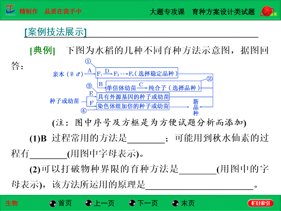 大题专攻课  育种方案设计类试题_第3页