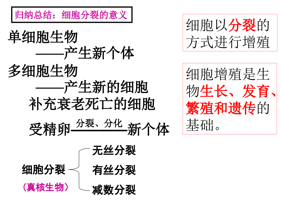 人教版教学课件山东省新泰市第二中学2011-2012学年生物 6.1 细胞增殖(课件)_第4页