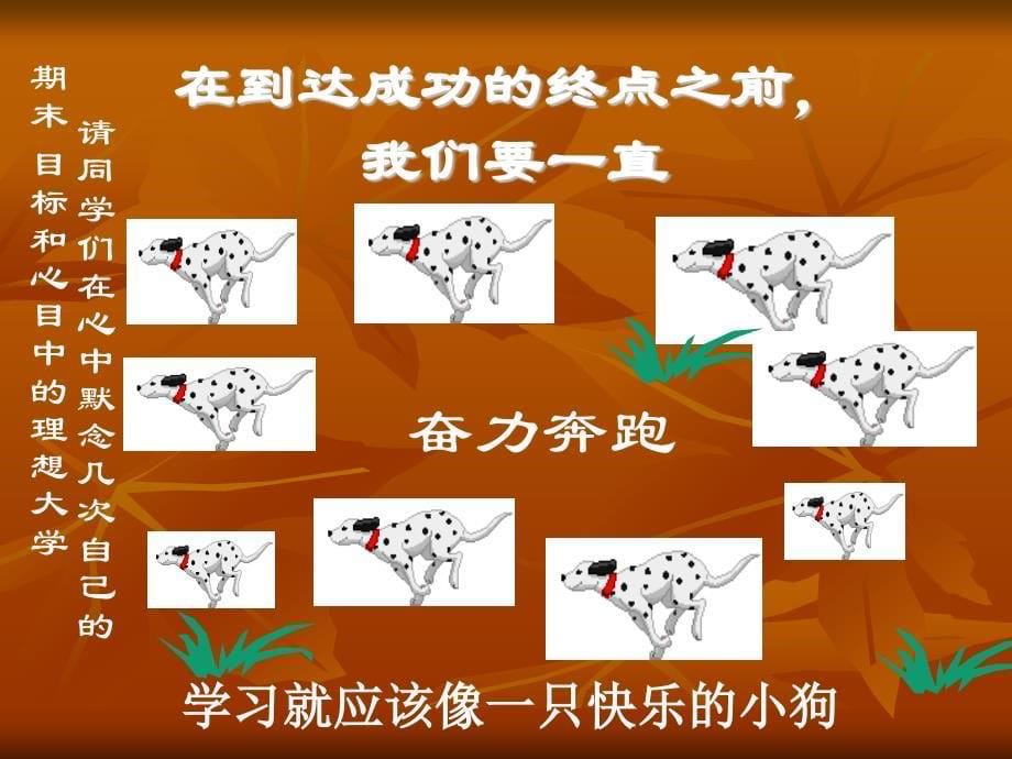 高三期末备考高考冲刺学习方法指导_第5页