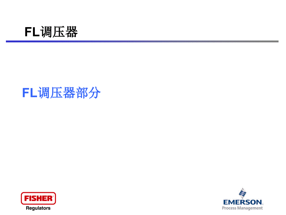 塔塔里尼调压器FL_BM5介绍_第3页