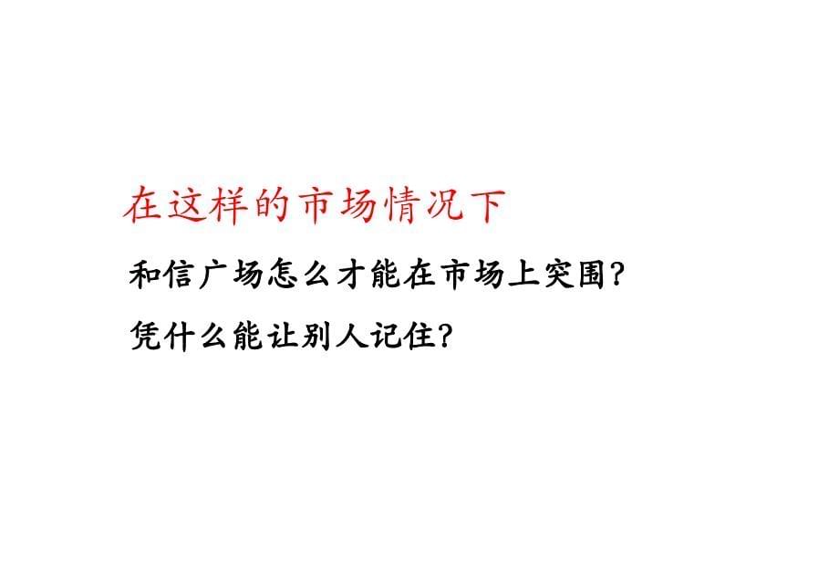 海口和信广场项目广告表现方案_第5页