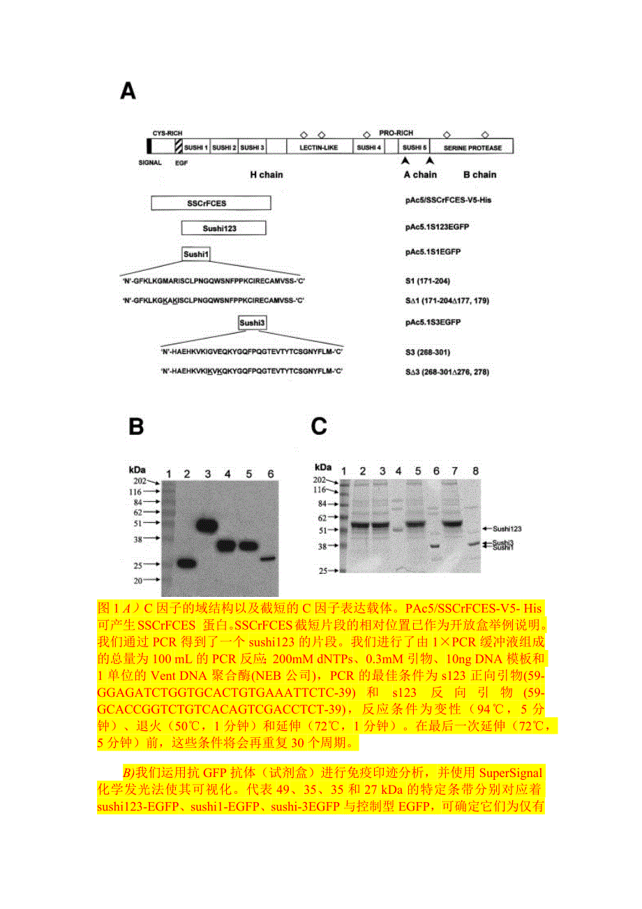 重组鲎C 因子sushi蛋白中内毒素结合位点的确定和sushi多肽对内毒素的中和作用_第3页