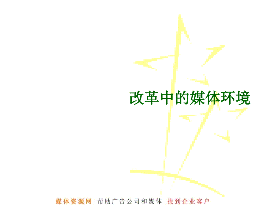 乐百氏总体媒介目标_第3页