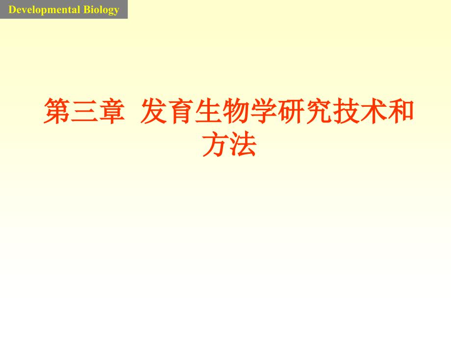 第三章  发育生物学研究技术和方法_第1页