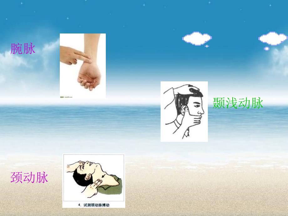 运动负荷的自我监测.ppt_第3页