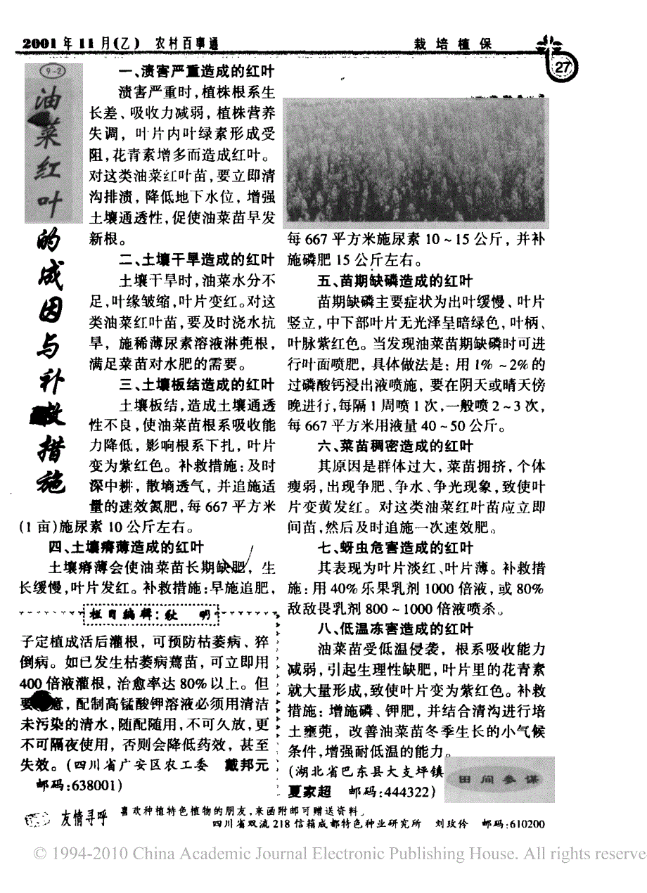 不用农药也杀虫_防治农作物害虫的绿色保护剂_第2页