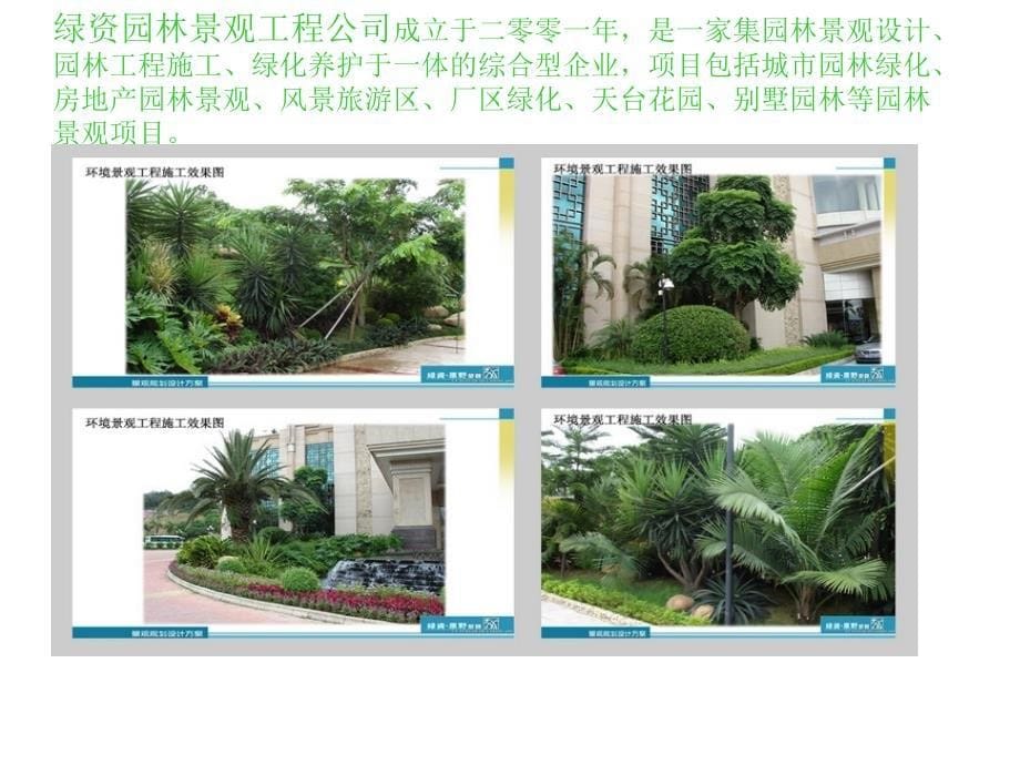 景观工程：假日酒店园林景观设计资料_第5页