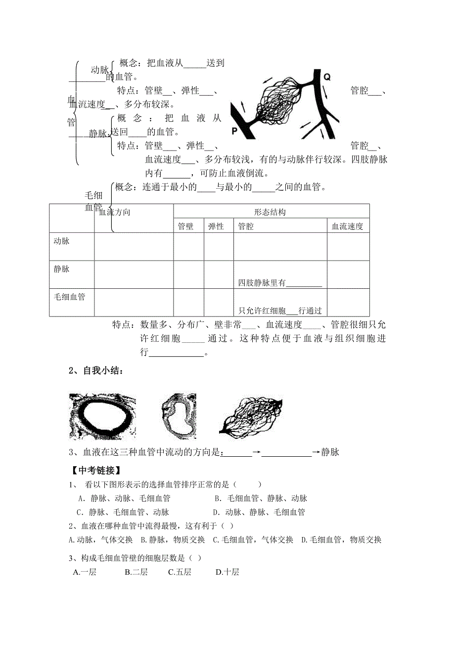 2017春人教版七下第二节《血流的管道──血管》word教案_第2页