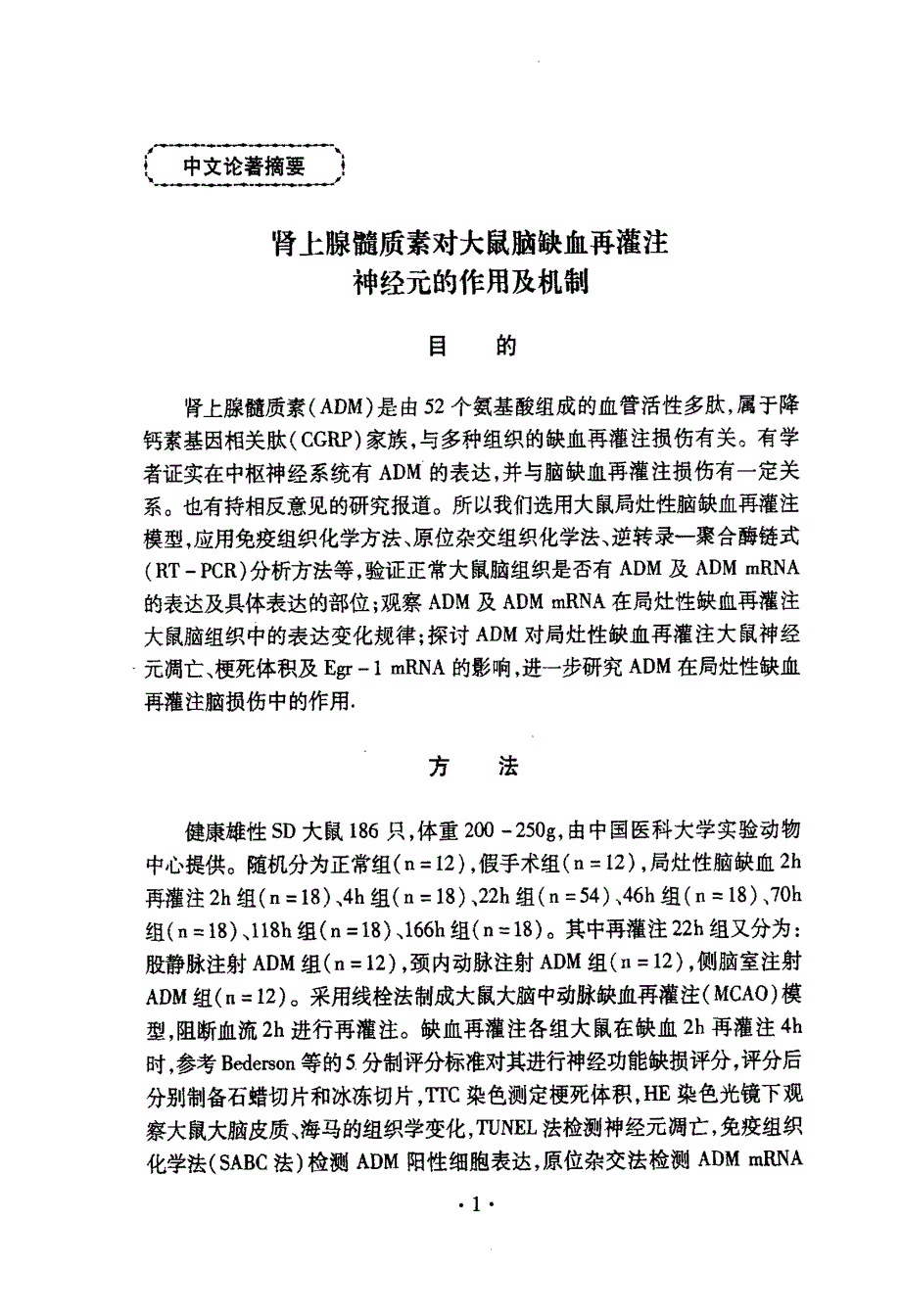 肾上腺髓质素对大鼠脑缺血再灌注神经元的作用及机制_第1页