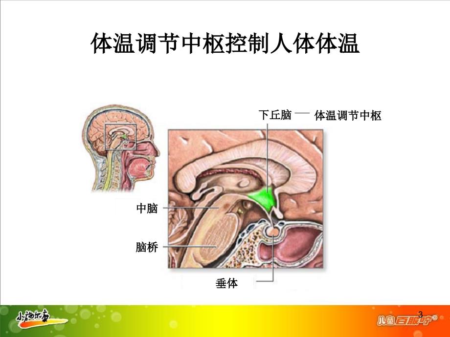 儿童发热治疗误区-0701_第3页