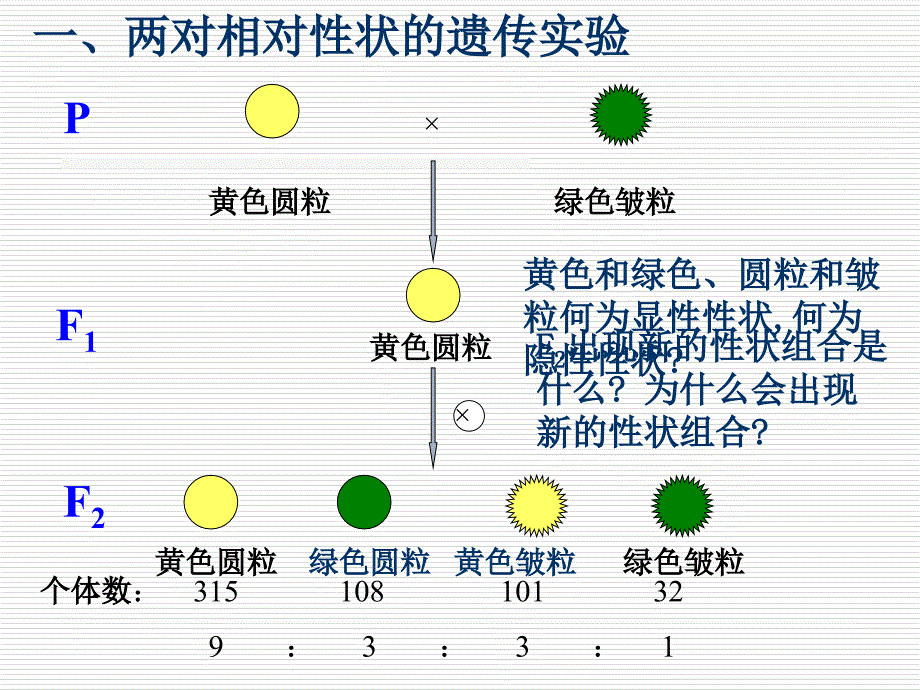 孟德尔的豌豆杂交实验 二 _第4页