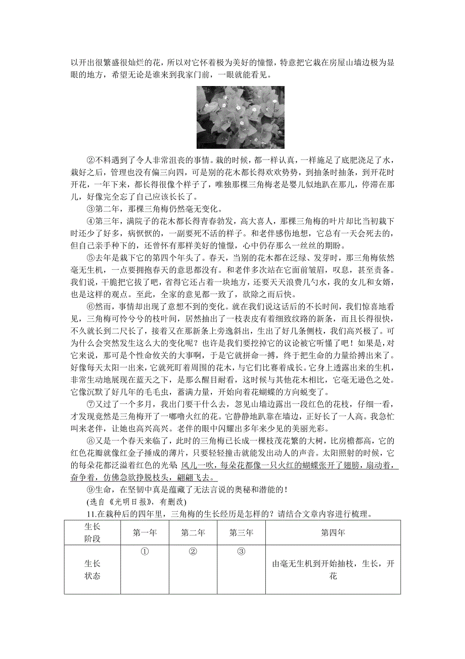 2017春人教版语文七年级下册第18课《一棵小桃树》word学案_第3页