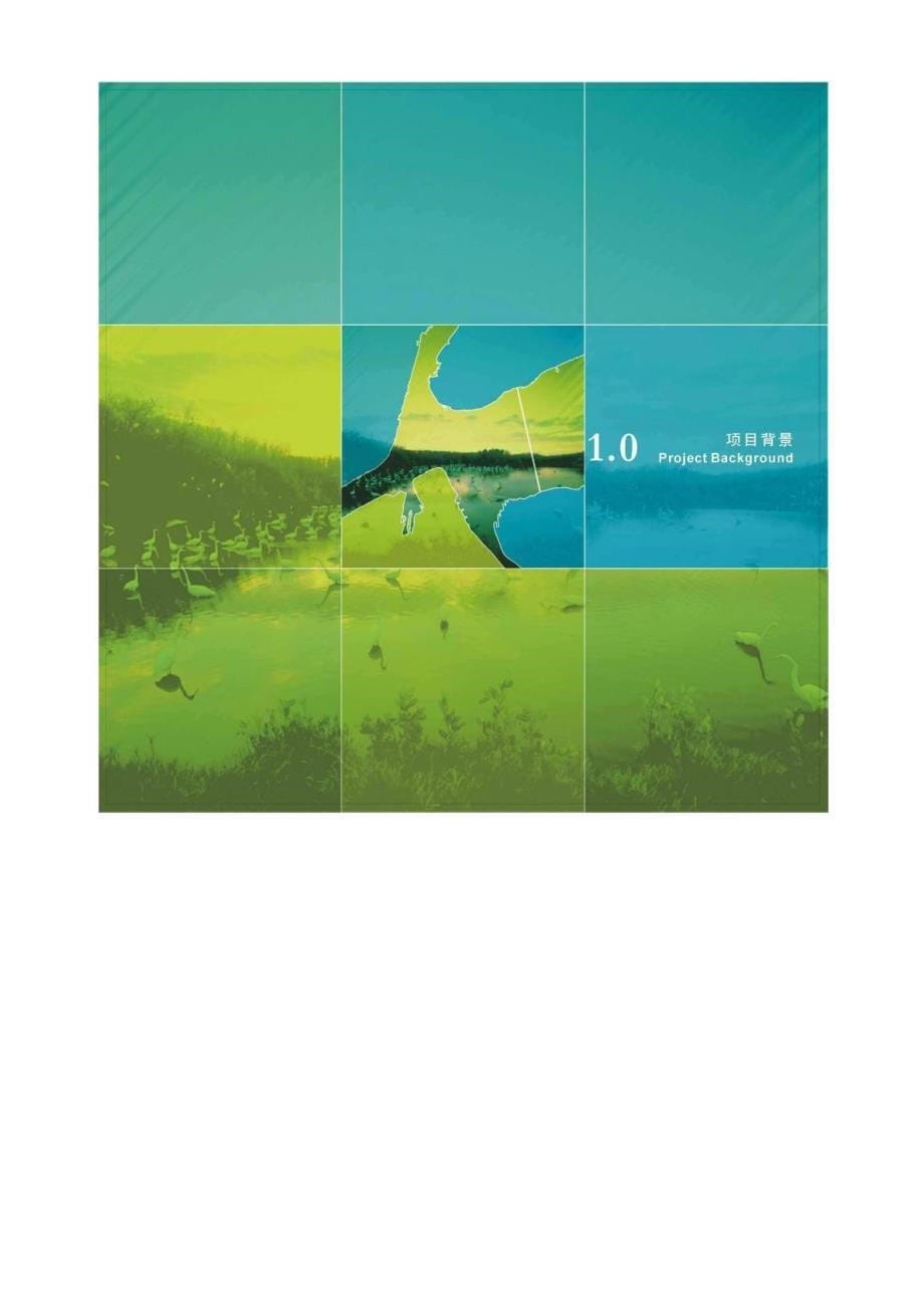 广东珠海横琴岛全套总体概念性景观规划设计文本(泛亚易_第5页