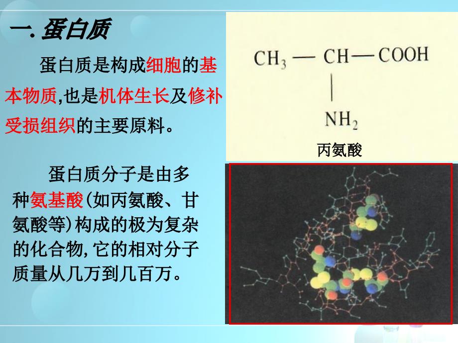 课题1人类重要的营养物质_第3页