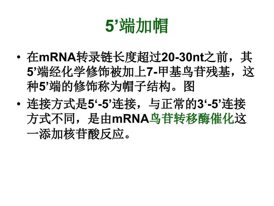 rna的转录后修饰wrm_第5页