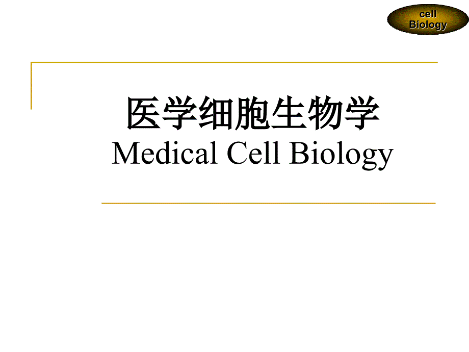 第十一章细胞外基质及其与细胞的相互作用.ppt_第1页