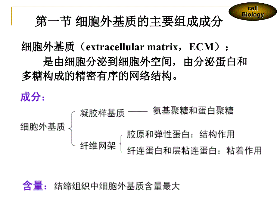 第十一章细胞外基质及其与细胞的相互作用.ppt_第4页