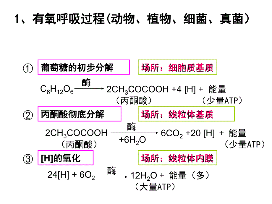 探究呼吸方式的实验装置_第4页