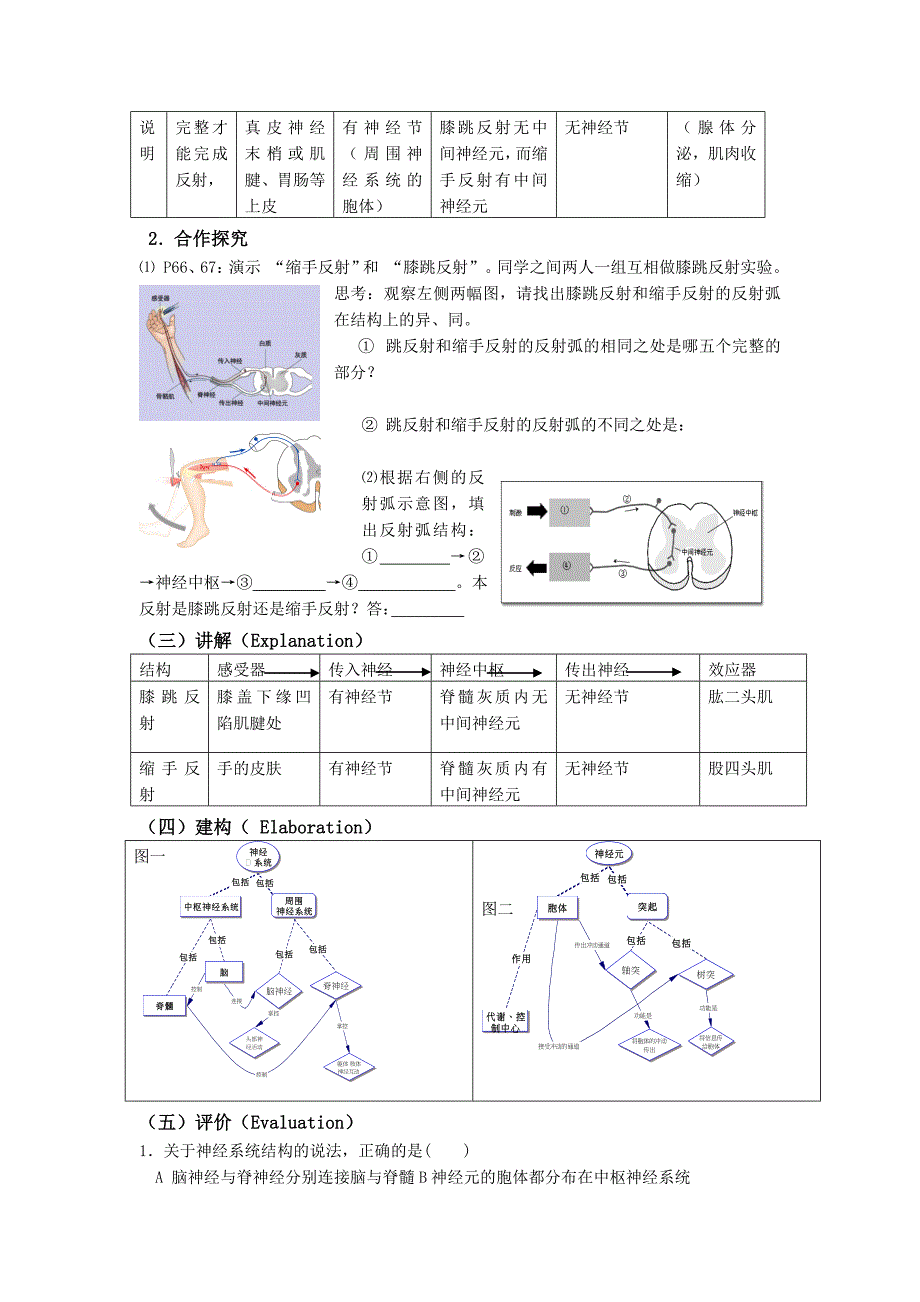 2017春北师大版七下第1节《神经系统与神经调节》word教案_第3页