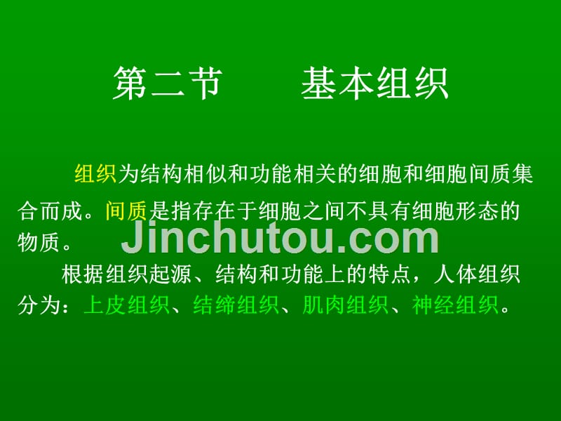 人体基本组织_第1页