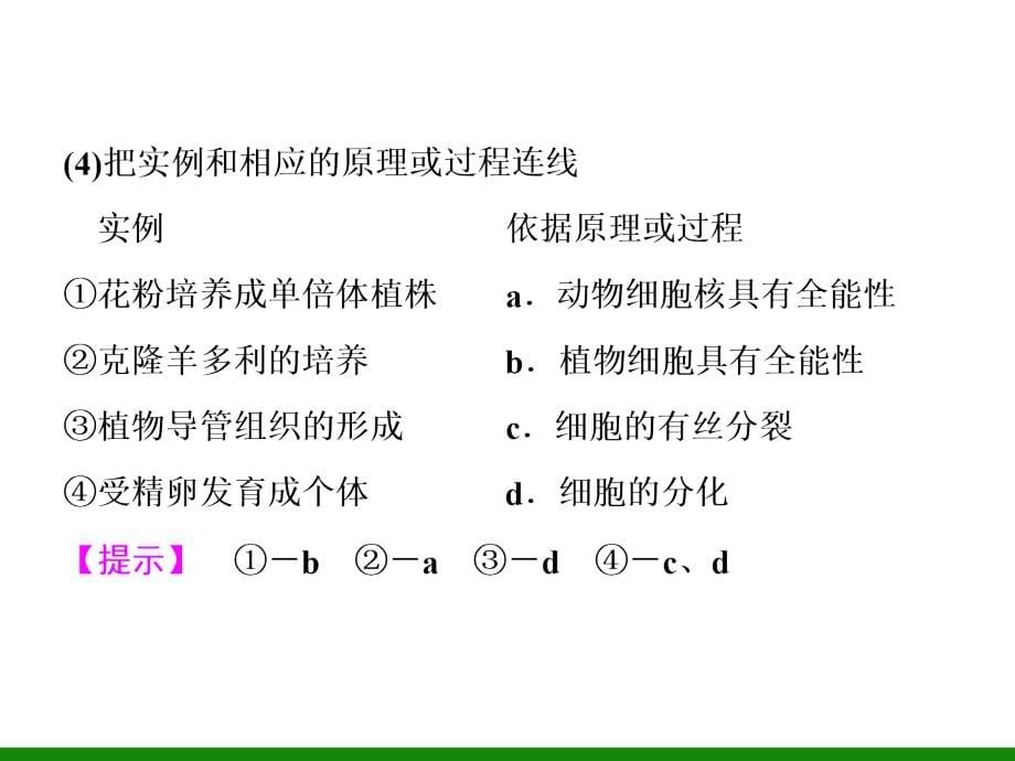 必修1-第4单元-第3讲 细胞的分化、衰老、凋亡和癌变 《新坐标》高中生物配套ppt课件_第5页