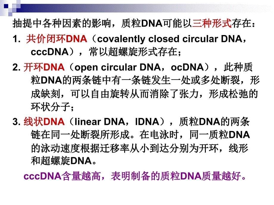 质粒dna的提取鉴定_第5页