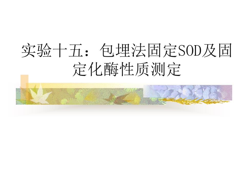 实验四  包埋法固定sod_第1页