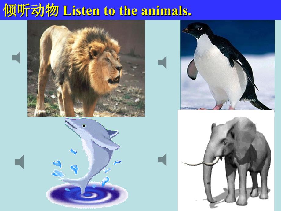 英语：Unit 3 Why do you like koalas课件(人教新目标七年级下)_第3页