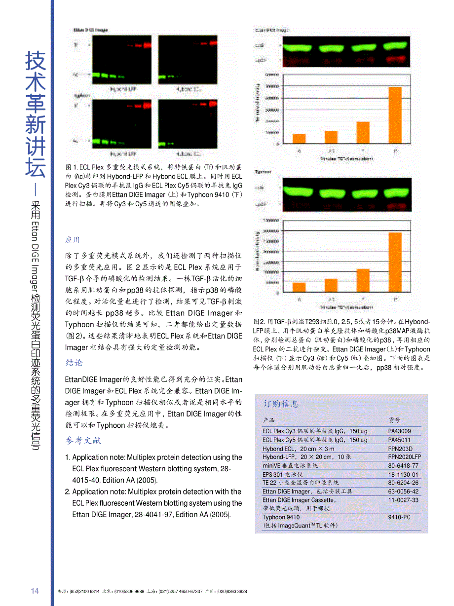 采用EttanDIGEImager检测荧光蛋白印迹系统的多重_第2页