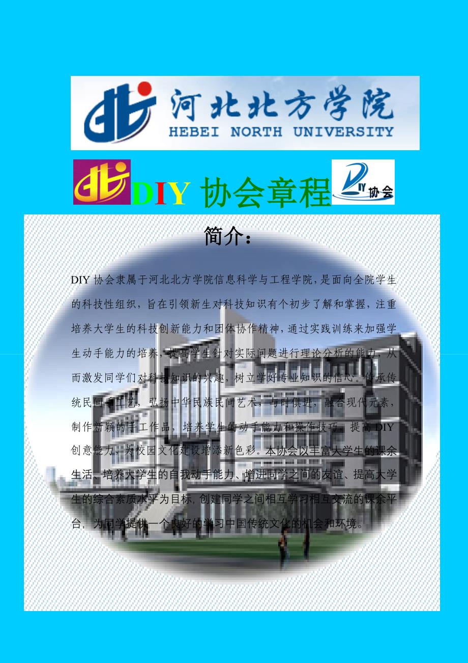 diy协会介绍_第1页