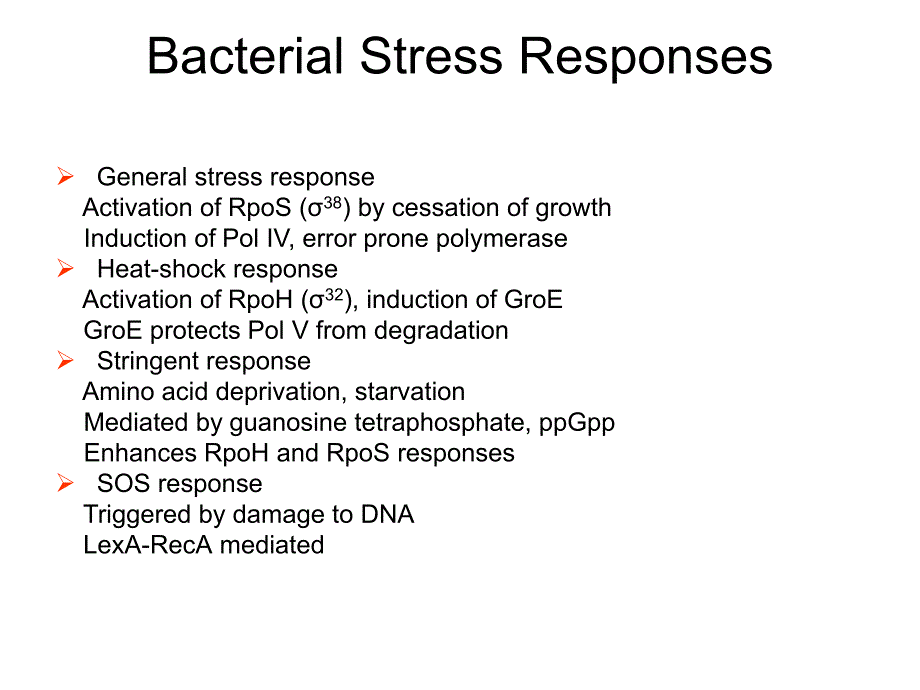 微生物的应激反应_第3页