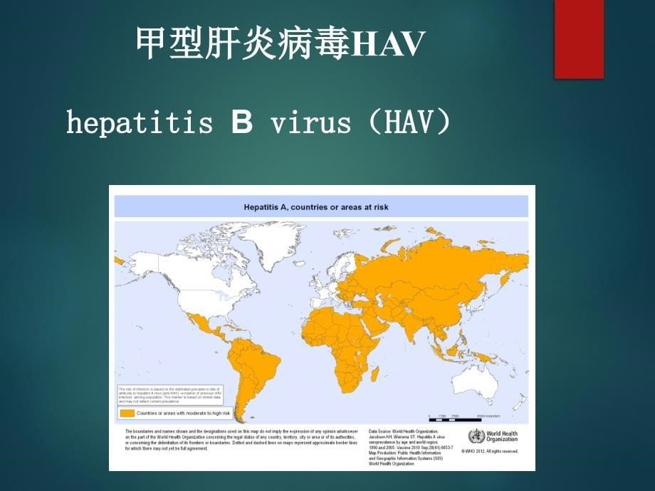 临床病原学-肝炎病毒_第5页