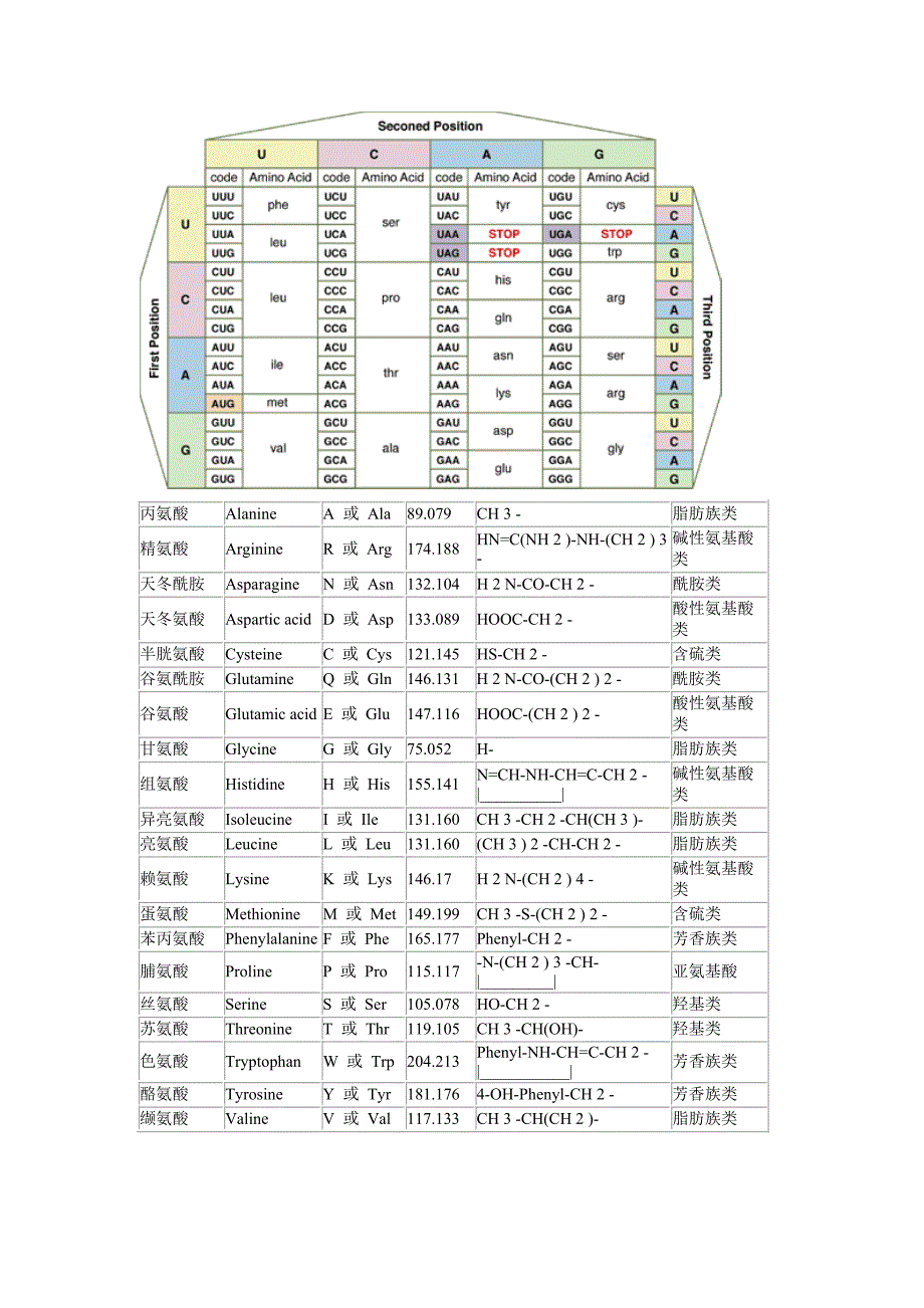 氨基酸密码子对照表_第1页