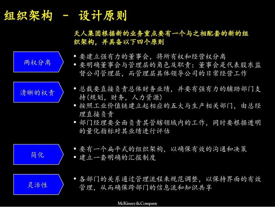 麦肯锡天人集团组织架构调整及人力资源规划流程_第5页