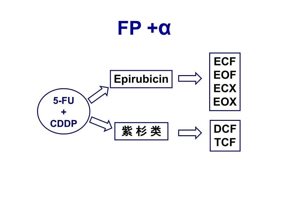 晚期胃癌： 化疗联合靶向治疗的策略_第5页