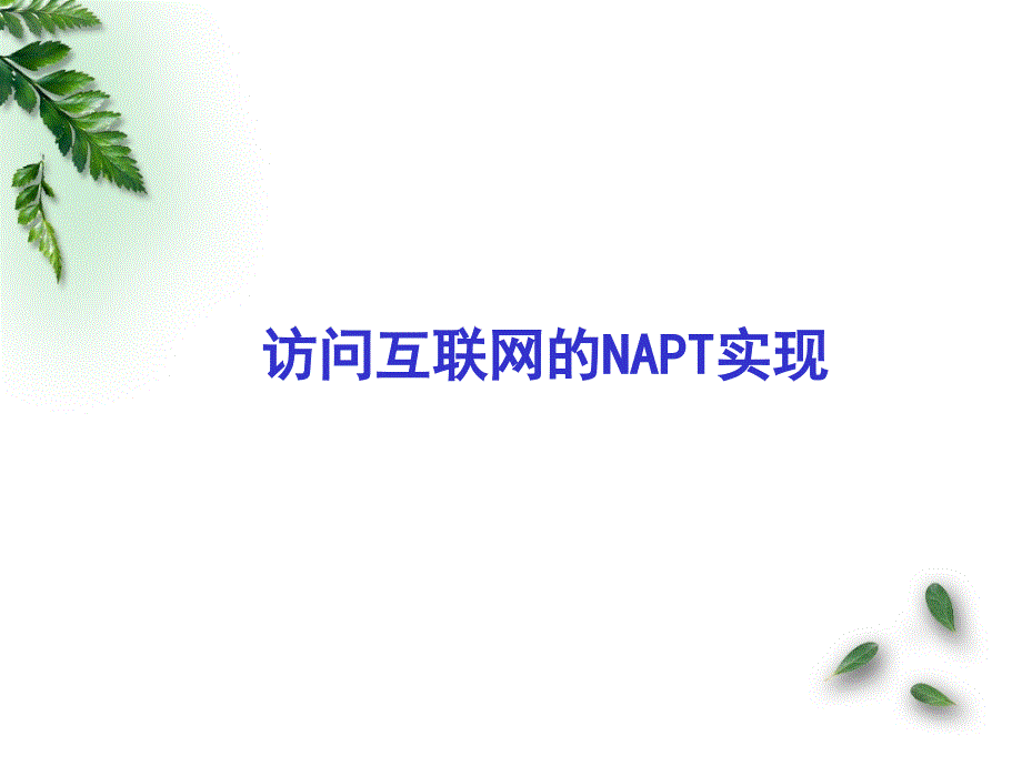 访问互联网的napt实现_第1页