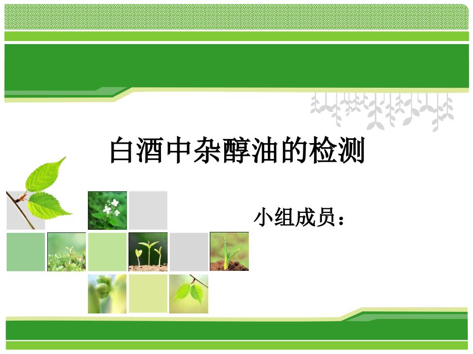白酒中杂醇油含量检测_第1页
