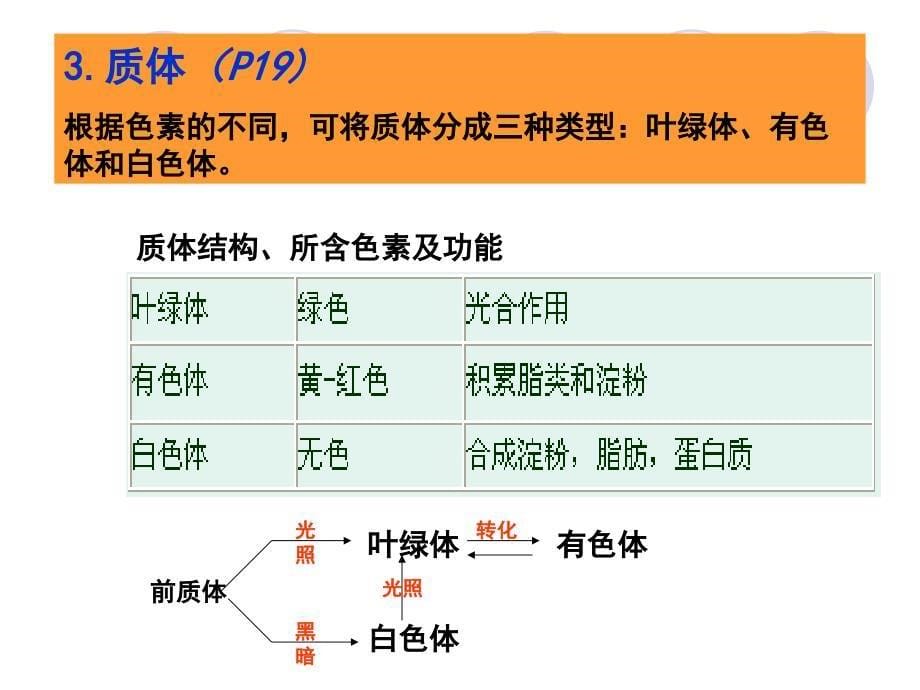 第一章 植物解剖和生理 第一节 植物组织的结构和功能_第5页