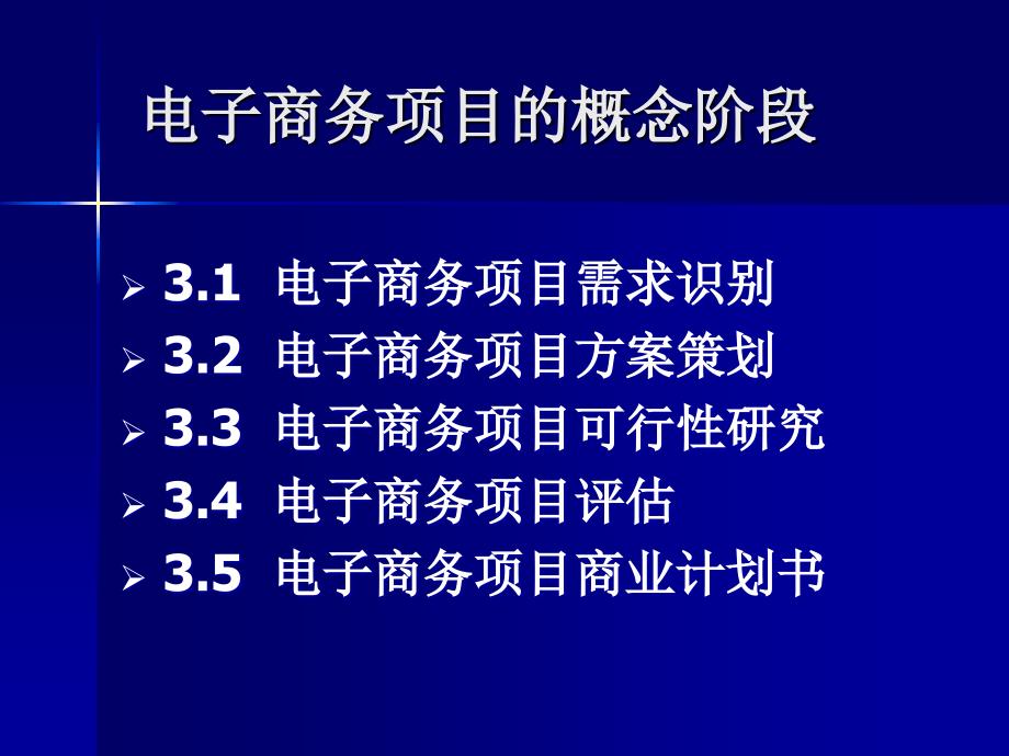 电子商务项目的概念阶段_第1页