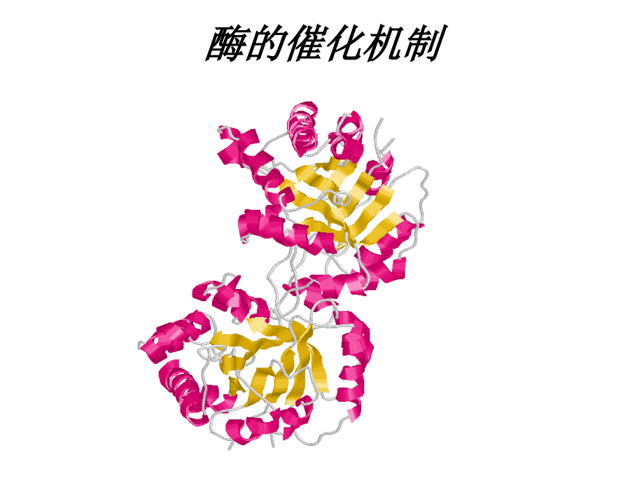 酶的催化机制_第1页