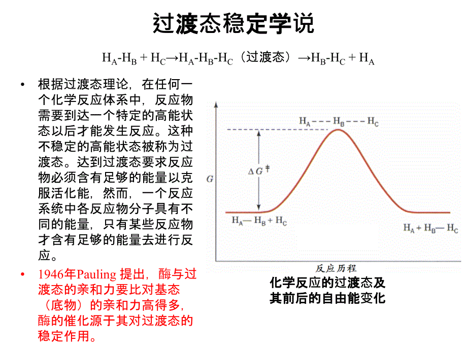 酶的催化机制_第3页