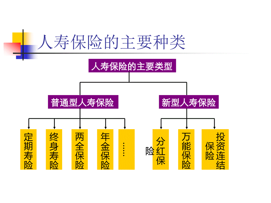 人寿寿险产品_第2页