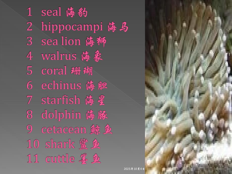 海洋生物(中英文对照)_第2页