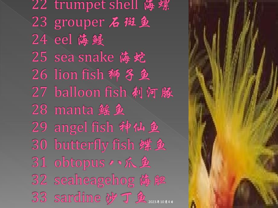 海洋生物(中英文对照)_第4页