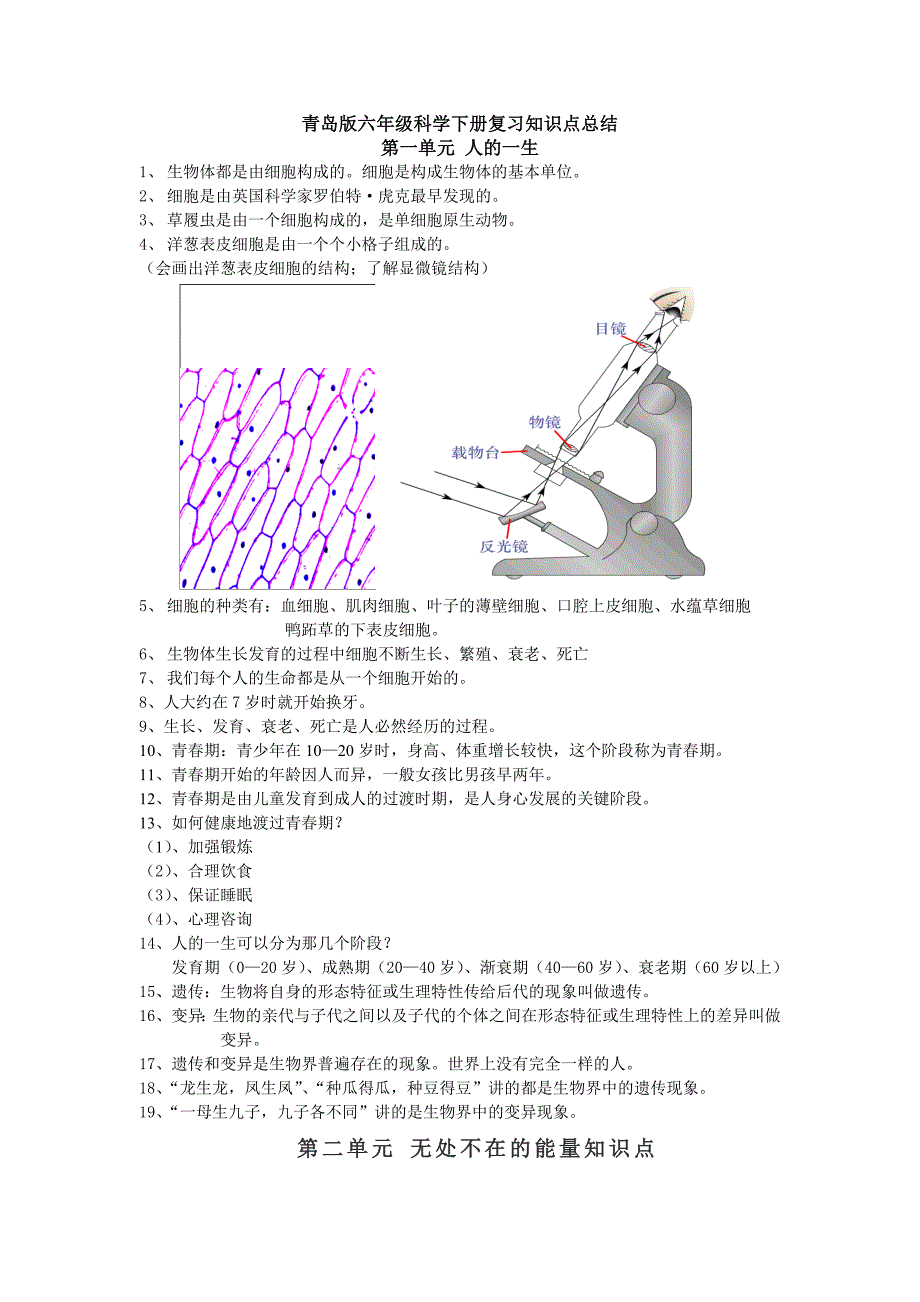 青岛版六年级下册科学（全册）知识点总结及期末试题_第1页