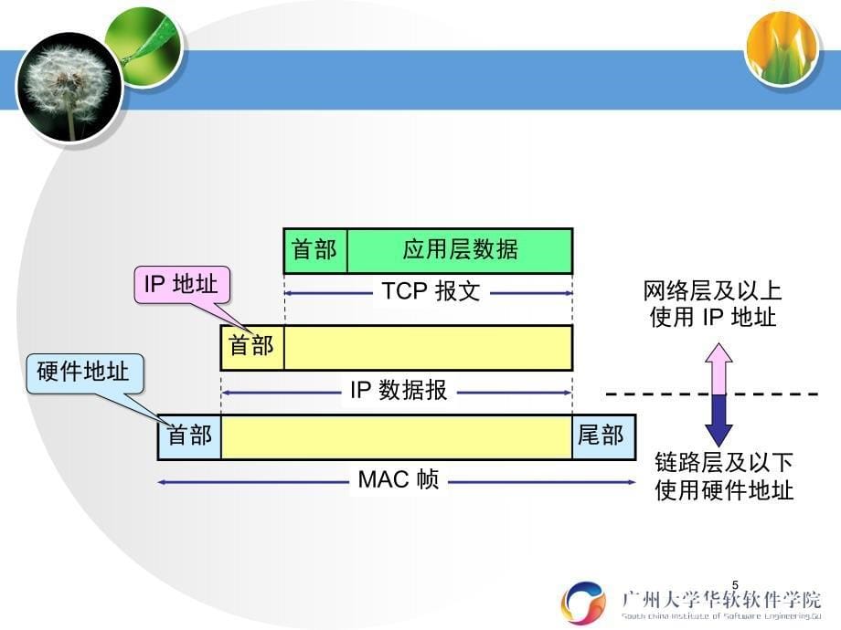 网络层(IP数据报)_第5页