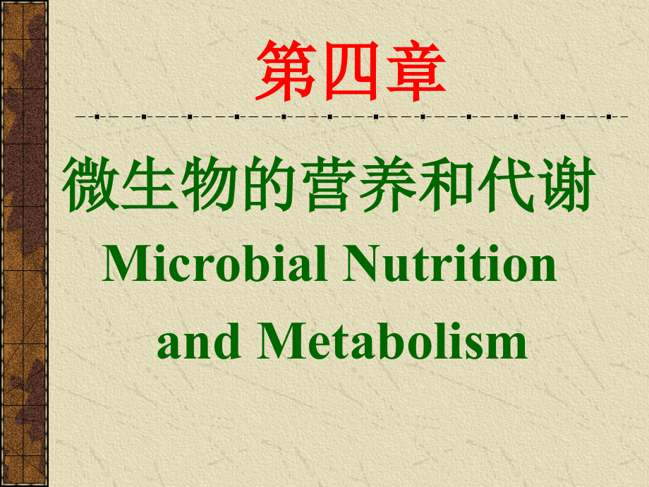 第四章 微生物的营养和代谢_第2页