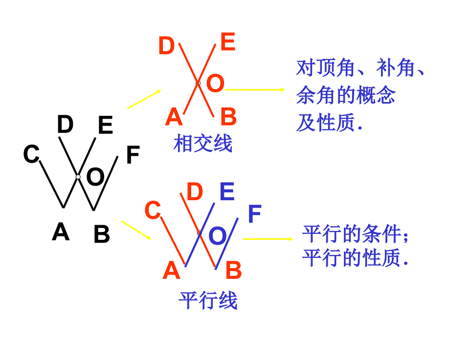 六年级数学平行线与相交线_第3页