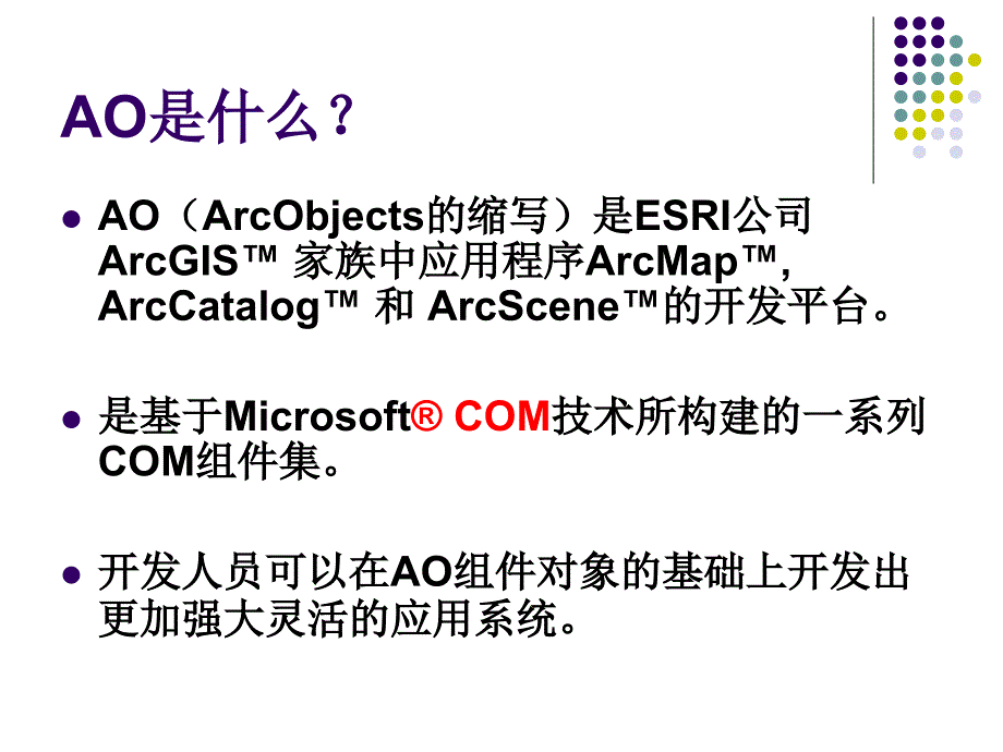 ArcObjects开发与实践_第2页