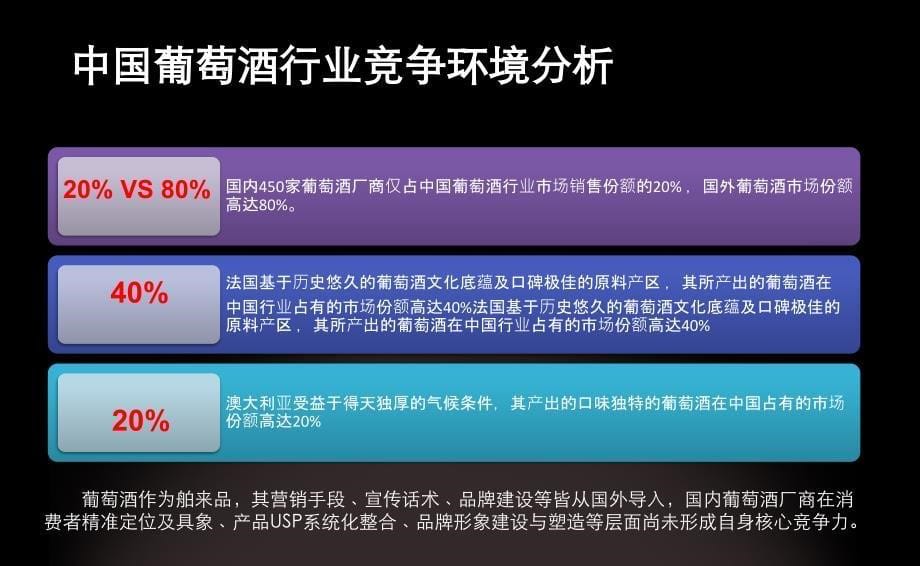 尼雅干红葡萄红酒项目传播推广计划_第5页